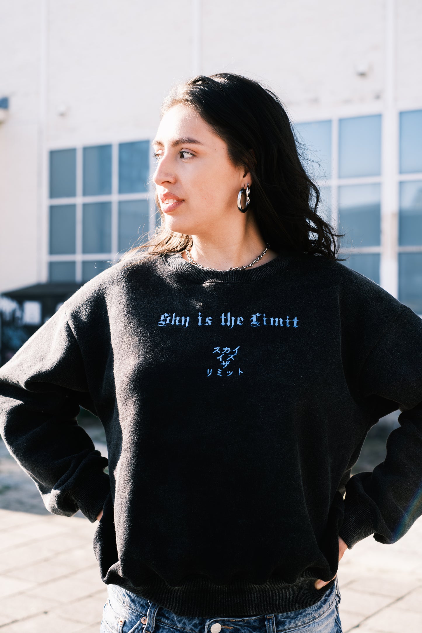 Sky is the limit Vintage Oversized Crewneck